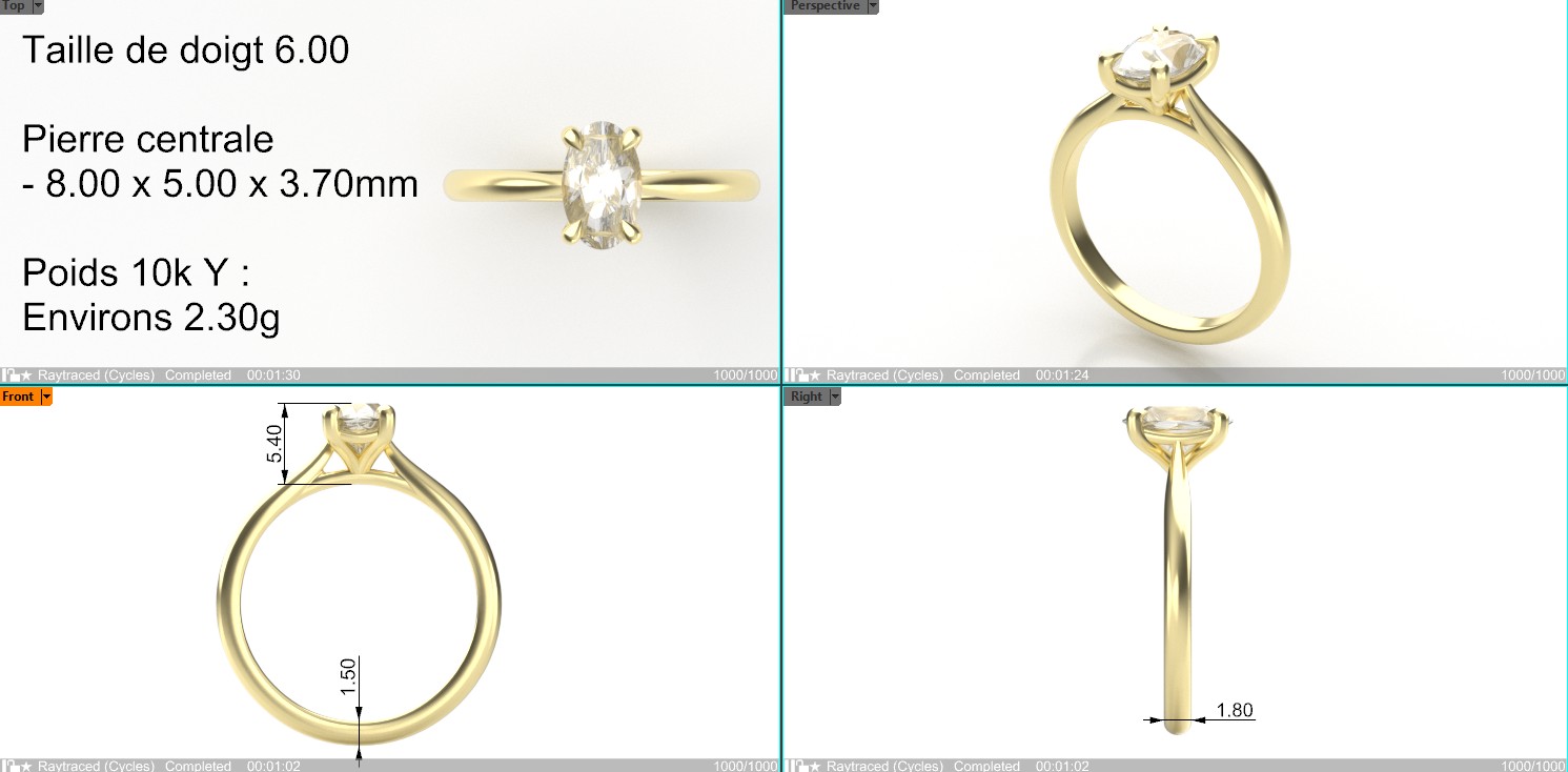 Exemple de fiche de validation 4 vues d’une bague